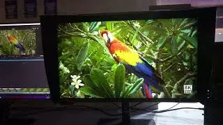 ASUS's Game-Changer: New 8K 32