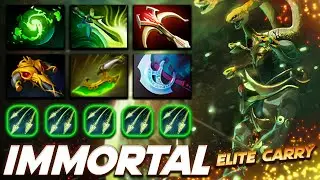 Medusa Elite Carry Awesome Build - Dota 2 Pro Gameplay [Watch & Learn]