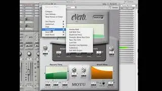 How to use Reverb Plugins in Digital Performer