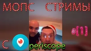 МОПС ЗАЕХАЛ В ПЕРИСКОП, МОПС СТРИМЫ С ПЕРИСКОПА