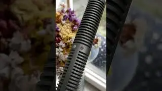 What Can You Do With The SSH-6 Capsule? Zoom H4n Pro, H5 and H6