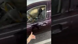 Суперхамелеон