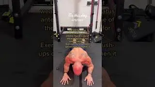 Weakness of the serratus anterior is one of the leading causes of scapular winging