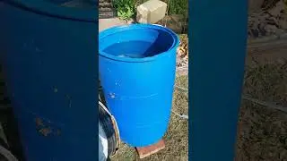 5 канал Знание и сила в гостях у Помидома!
