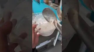WASTED 