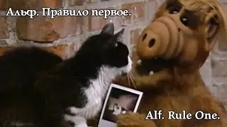 Alf. Rule One. Альф. Правило первое. 