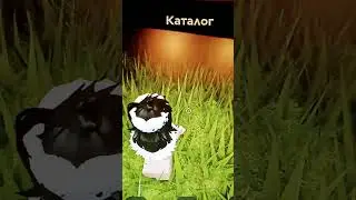 сейчас играю заходите играю в catalog avatar!!!!