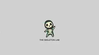The Skeleton Lab- Scripting the Fk chain module Part 2