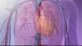 American Heart Association lists warning signs of atrial fibrillation