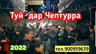 Туй дар 