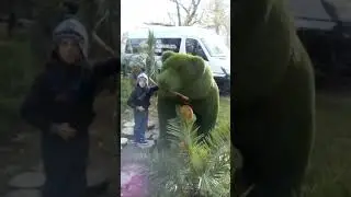 Бурый медведь в Сочи!