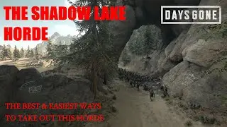 Days Gone - THE SHADOW LAKE HORDE, The Best & Easiest Ways To Take Out This Horde.