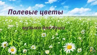 Полевые цветы. Шикарная мелодия из кинофильма 