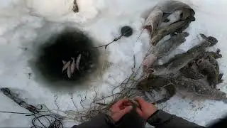 (38) Рыбалка в Туруханске. Отличное открытие сезона 2023 года рыбалки на налима.