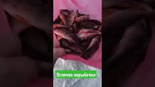 Порыбачил немного