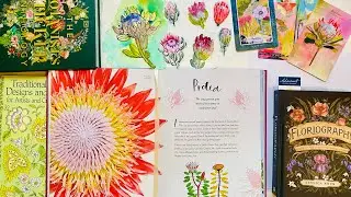 Drawing with acrylic ink, watercolour proteas, art book and card deck inspiration.