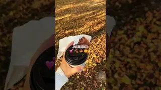 Наша чудесная осень🍁💕🍂