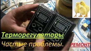 Терморегулятор DALAS для самодельных инкубаторов ремонт.