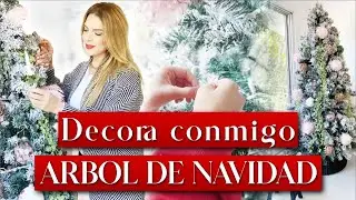 Poniendo el Arbolito de Navidad / Daniela Liepert Vlogs