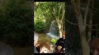 i suoni della natura.Franco Speranza.