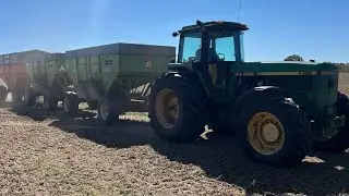 Cutting Soybeans 24