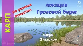 Русская рыбалка 4 - озеро Янтарное - Карп на разные оснастки