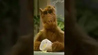Hey, what's going on here? Эй, что здесь происходит? #alf  #shorts