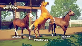 Жеребец с редкими генами, участие в событии 🌺 Rival Stars Horse Racing 🌺 Мобильная версия