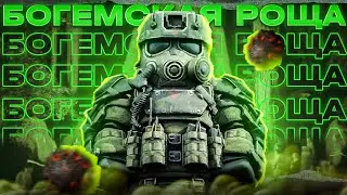БОГЕМСКАЯ РОЩА | STALCRAFT
