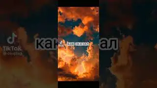 ты скотина а я нет|видео из ТТ