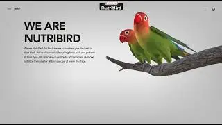 Creative Web Experience To Introduce The Rebranding of Versele-Laga's Nutribird.