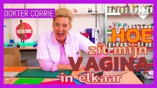 HOE ZIT MIJN VAGINA IN ELKAAR? | Seksvragenknutselrubriek | NPO Zapp