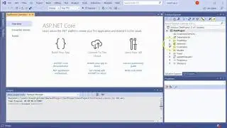 Create a basic ASP.NET Core MVC Project