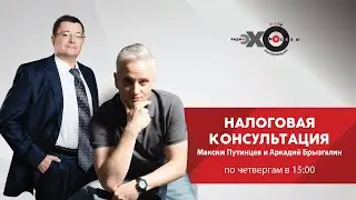 Налоговая консультация / Аркадий Брызгалин // 17.06.2021