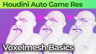 005 Houdini Labs Voxelmesh Basics