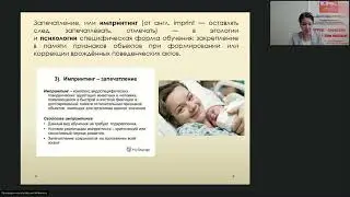 Формирование привязанности