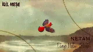 İdil Meşe & Netam - Dünya Halim (Remix)