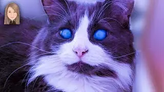 Животные инопланетяне!