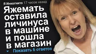 ЯЖЕМАТЬ ОСТАВИЛА ЛИЧИНУСА В МАШИНЕ И ПОШЛА В МАГАЗИН. ЯЖЕМАТЬ ИСТОРИИ.