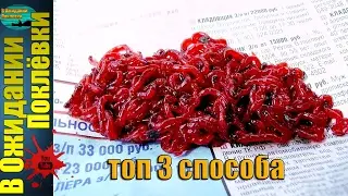 Топ 3 способа, как хранить мотыля для рыбалки  !