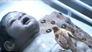 The Boy Wasn't Breathing At Birth.He Was Saved By A Bird.#shorts