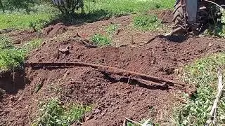 Заработали 20 тысяч за день. Коп металла экскаватором. Перерыли леспромхоз, нашли рельсы.