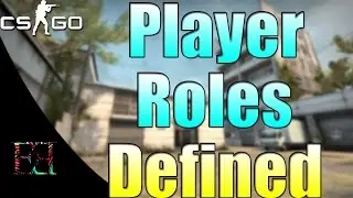 CS:GO-Player Roles Defined