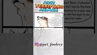 This Fox Didn't Believe Her....   |  Funny Comic Dub