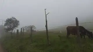 SALIDA EN BOJACÁ CUNDINAMARCA