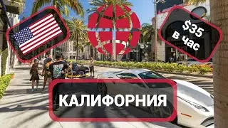 Работа в Калифорнии в 2022 году. Актуальные вакансии в США. Уборщик, упаковщик, фотограф и другие