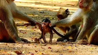 STOP PULL ME ..!!! WHO MY MOM ..??