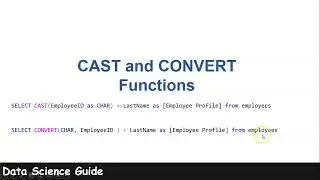 Changing Datatype in SQL using CAST and CONVERT Functions