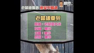 【二創車Cam｜狼少製作】老鼠被車死｜老鼠過馬路 慘變不歸途(原曲：老鼠愛大米)