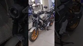 New 2024 Yamaha FZ X - Matte Titan